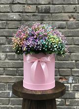 Композиция Яркие эмоции в Бакалы Башкортостан Цветочная композиция из Гипсофила и Розы в шляпной коробке в Бакалы Башкортостан