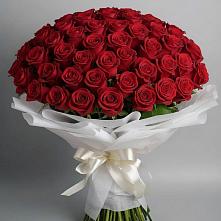 101 Красная роза Блэк Мэджик в Бакалы Башкортостан Букет 101 Красная роза Блэк Мэджик в Бакалы Башкортостан
