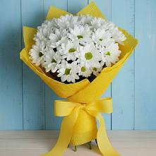 Букет Застенчивые лепестки в Бакалы Башкортостан Букет цветов из:  Хризантемы в Бакалы Башкортостан