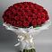 101 Красная роза Блэк Мэджик в Бакалы Башкортостан Букет 101 Красная роза Блэк Мэджик в Бакалы Башкортостан