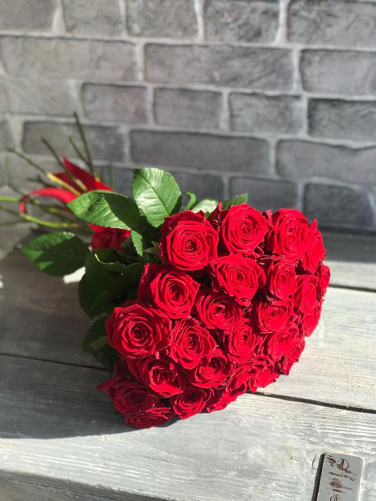 Красные розы Фридом в Бакалы Башкортостан Букет Красные розы Фридом в Бакалы Башкортостан