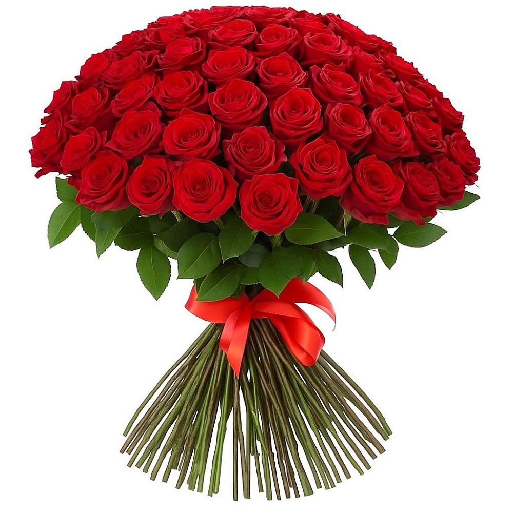 Красные розы Блэк Меджик в Бакалы Башкортостан Букет Красные розы Блэк Меджик в Бакалы Башкортостан