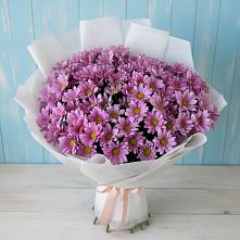 Букет сиреневая охапка в Бакалы Башкортостан Букет цветов из:  Хризантемы в Бакалы Башкортостан