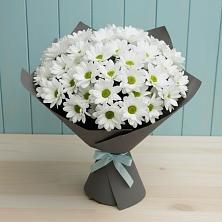 Букет белые хризантемы в Бакалы Башкортостан Букет цветов из:  Хризантемы в Бакалы Башкортостан