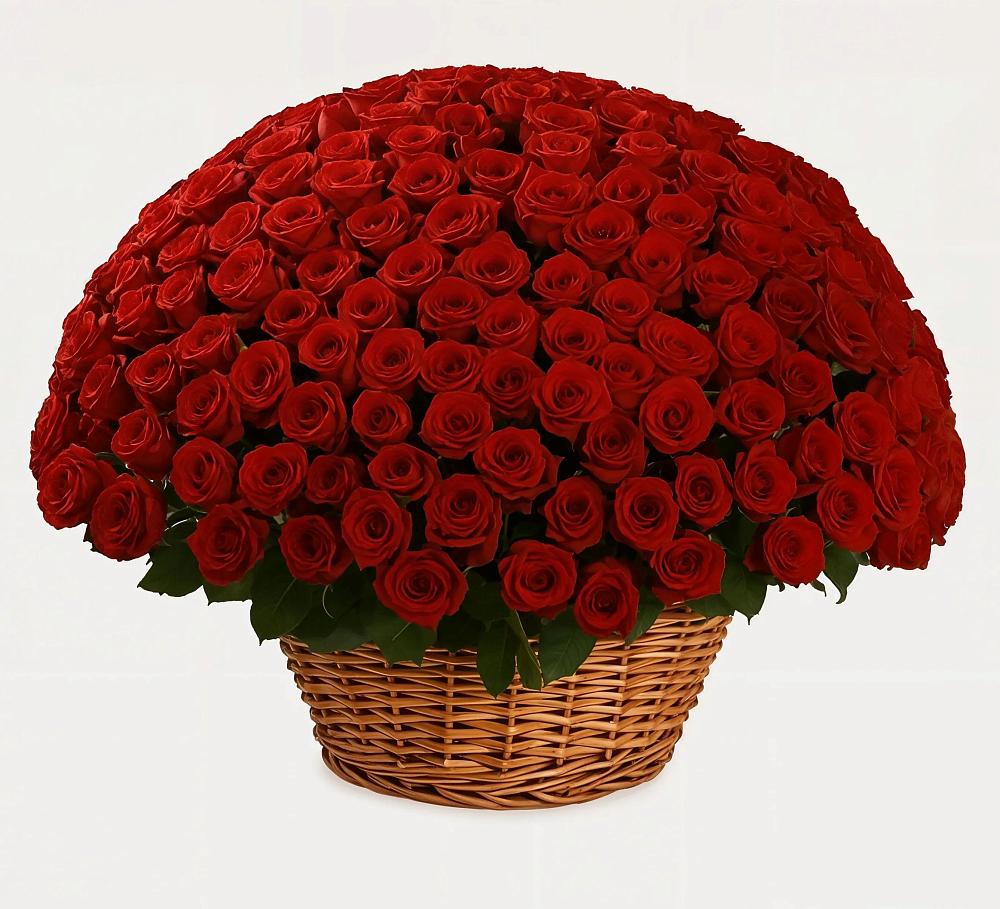 251 Премиум красная роза в Бакалы Башкортостан Премиум букет из: Розы в Бакалы Башкортостан