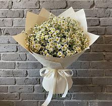Букет Кустики радости в Бакалы Башкортостан Букет цветов из:  Ромашки в Бакалы Башкортостан