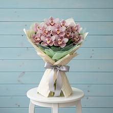 Букет 11 орхидей в Бакалы Башкортостан Букет цветов из:  Орхидеи и Розы в Бакалы Башкортостан