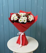 Букет ягоды на снегу #REPLACE_PRED# Бакалы Башкортостан Букет цветов из:  Хризантемы #REPLACE_PRED# Бакалы Башкортостан