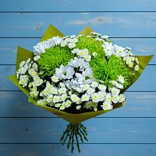 Букет скромность  в Бакалы Башкортостан Букет цветов из:  Хризантемы в Бакалы Башкортостан