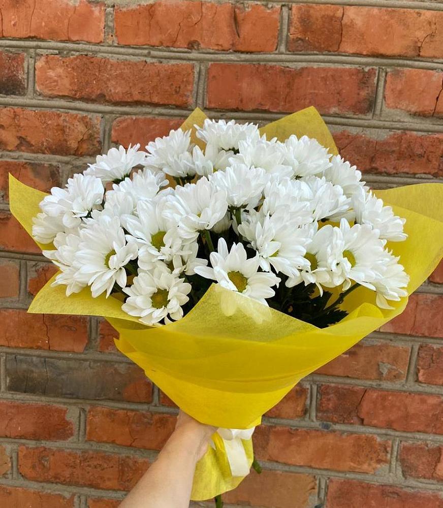 Букет Застенчивые лепестки в Бакалы Башкортостан Букет цветов из: Хризантемы в Бакалы Башкортостан