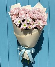 Букет Розовые хризантемы в Бакалы Башкортостан Букет цветов из:  Хризантемы в Бакалы Башкортостан