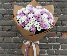 Букет грани совершенства в Бакалы Башкортостан Букет цветов из:  Хризантемы в Бакалы Башкортостан