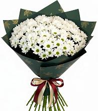 Букет море ромашек в Бакалы Башкортостан Букет цветов из:  Хризантемы в Бакалы Башкортостан