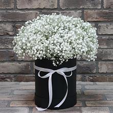 Композиция коробка гипсофил в Бакалы Башкортостан Цветочная композиция из Гипсофила в шляпной коробке в Бакалы Башкортостан