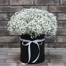 Композиция коробка гипсофил в Бакалы Башкортостан Цветочная композиция из Гипсофила в шляпной коробке в Бакалы Башкортостан