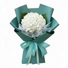 Букет Лёгкое облако в Бакалы Башкортостан Букет цветов из:  Гортензия в Бакалы Башкортостан